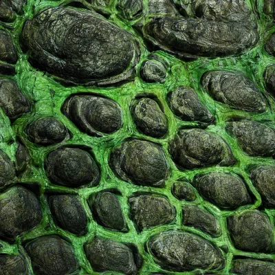 Creature camo — Call of Duty: Advanced Warfare