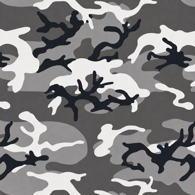 Urban camo — Call of Duty: Advanced Warfare