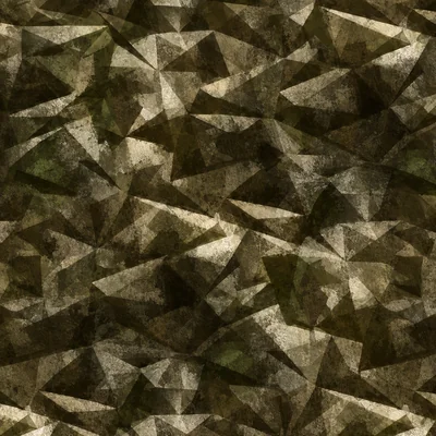 Woodland camo — Call of Duty: Advanced Warfare