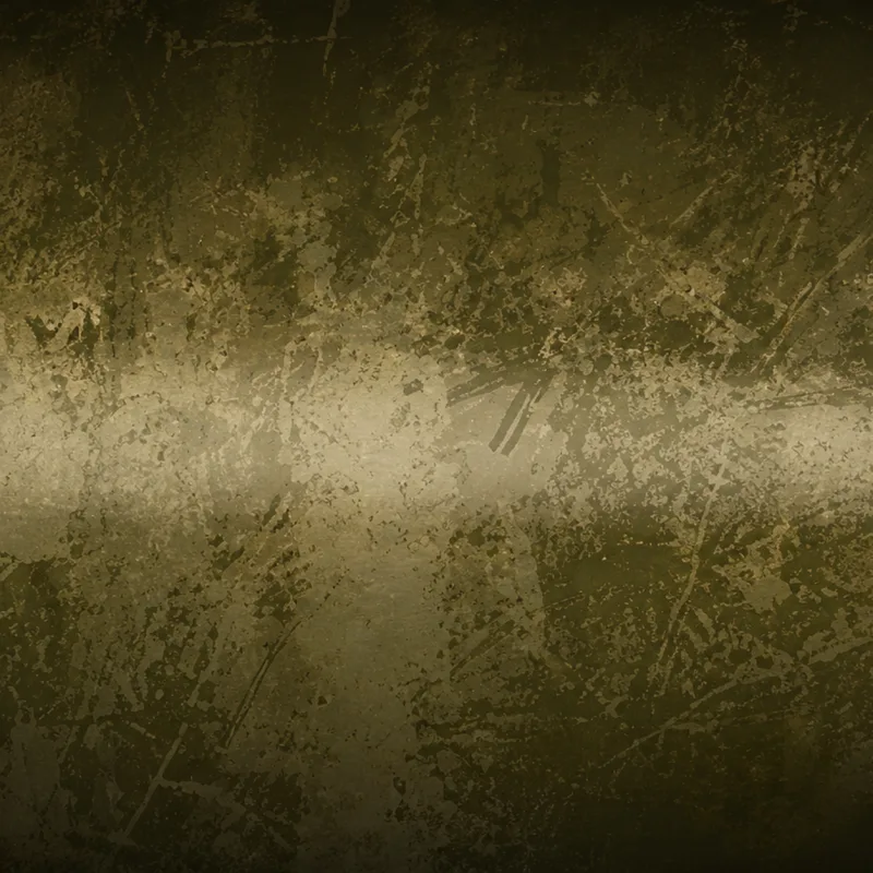Olive camo — Call of Duty: Black Ops