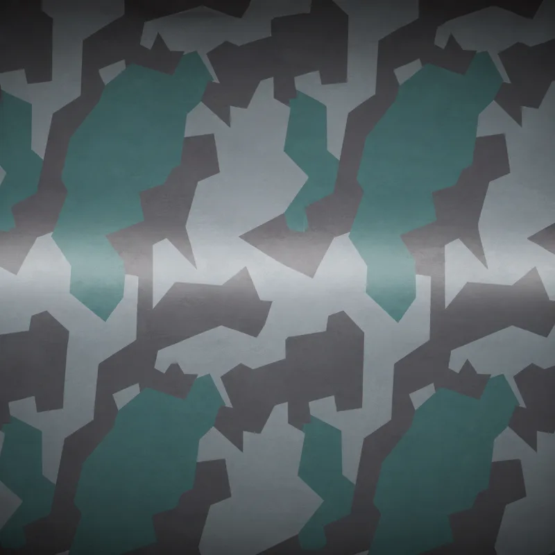 Warsaw camo — Call of Duty: Black Ops