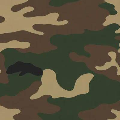 ERDL camo — Call of Duty: Black Ops II