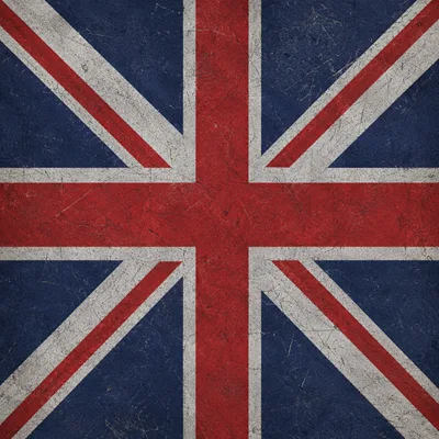 UK Punk camo — Call of Duty: Black Ops II