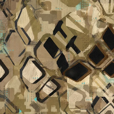 Agitator camo — Call of Duty: Black Ops 4