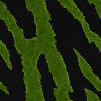 Green Tiger camo — Call of Duty: Black Ops 4