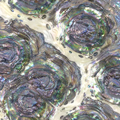 Mother of Pearl camo — Call of Duty: Black Ops 4