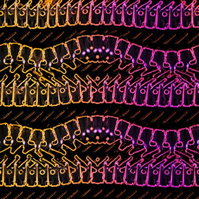 Spinal Trap camo — Call of Duty: Black Ops 4