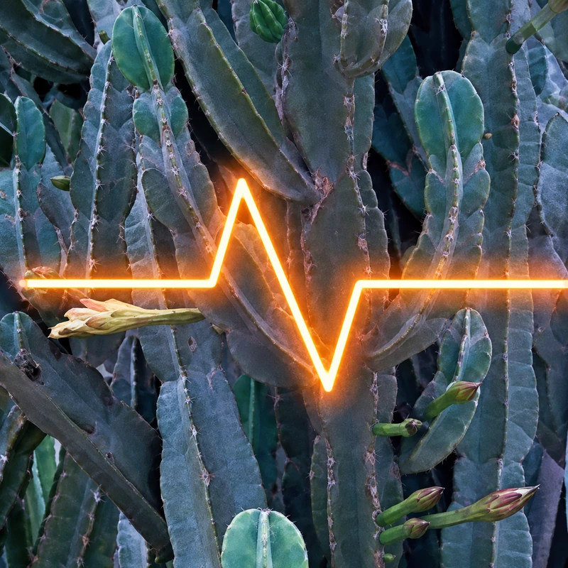 Cacti Cathode camo