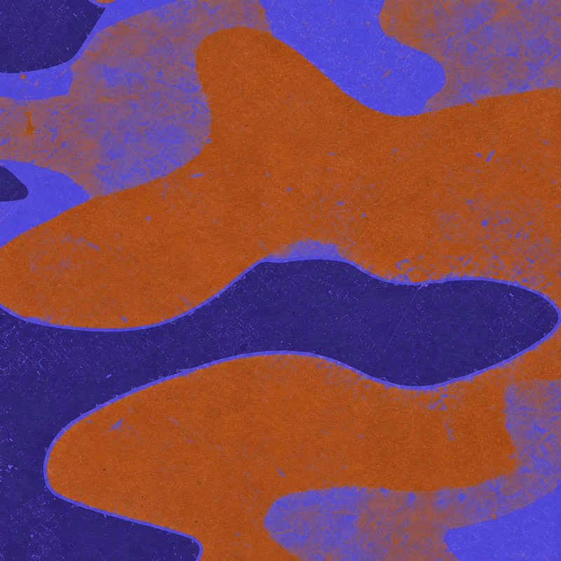Driftscape camo