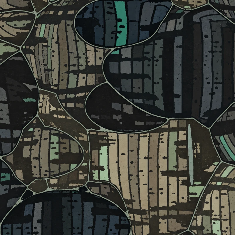 Erosion camo