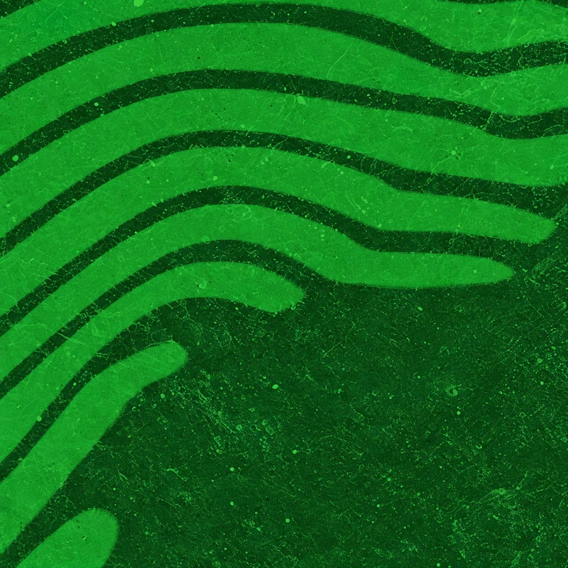 Forest camo
