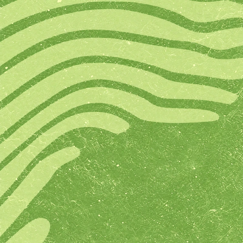 Lime camo