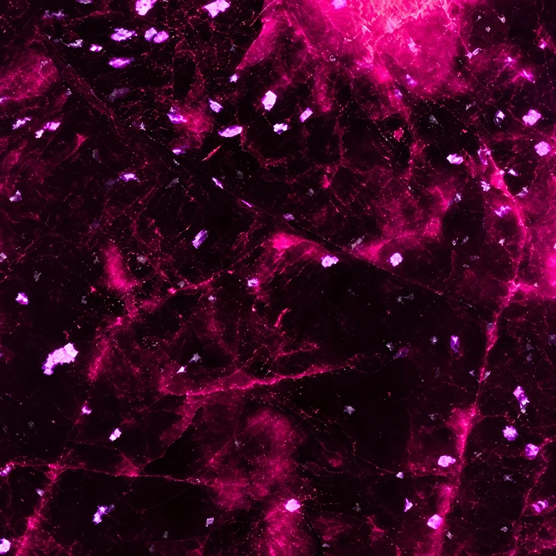 Amethyst Fracture camo in Black Ops 7