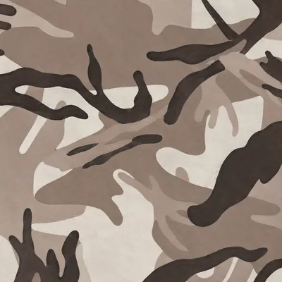 Arid camo in Black Ops 7 — pale cream desert pattern with dark brown branches