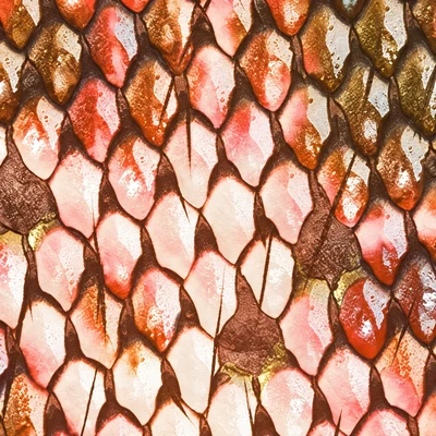 Draconic camo in Black Ops 7