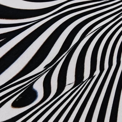 Hippotigris camo