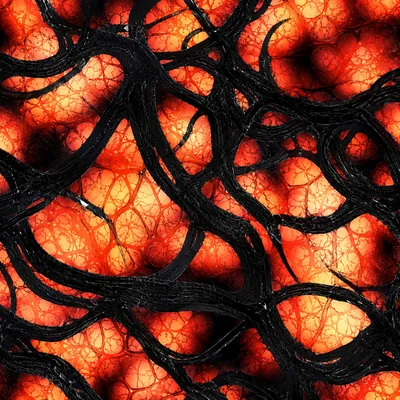 Infestation camo in Black Ops 7