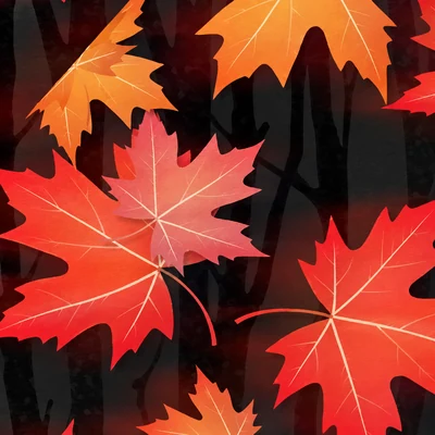 Momiji camo