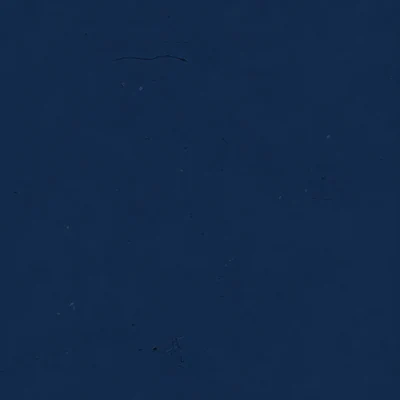 Navy camo