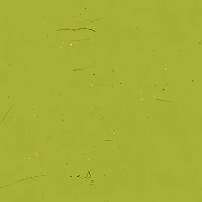 Olive camo