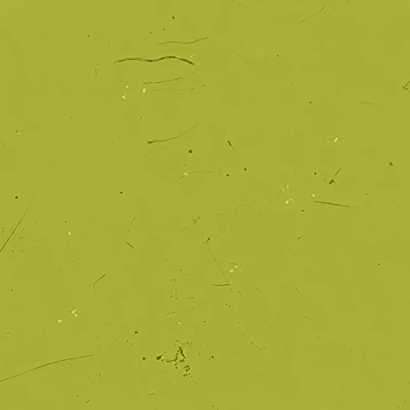 Olive camo in Black Ops 7