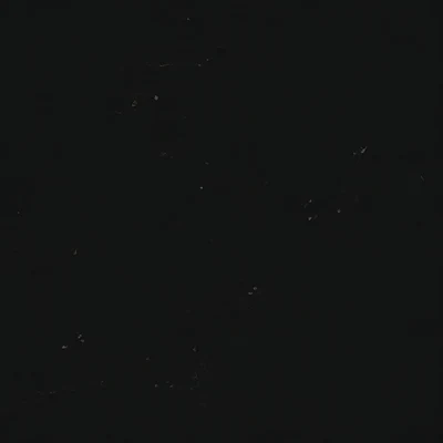 Onyx camo