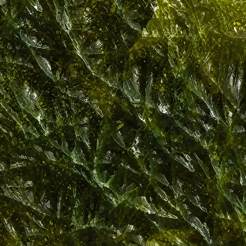 Overgrowth camo in Black Ops 7