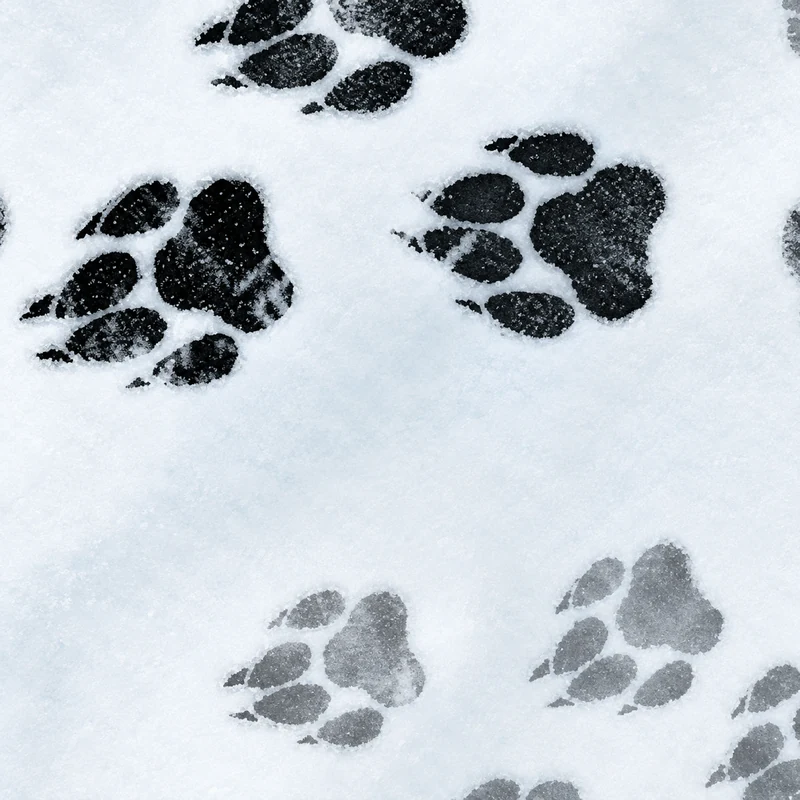 Pack Pattern camo in Black Ops 7