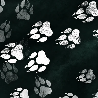 Paw Trail camo