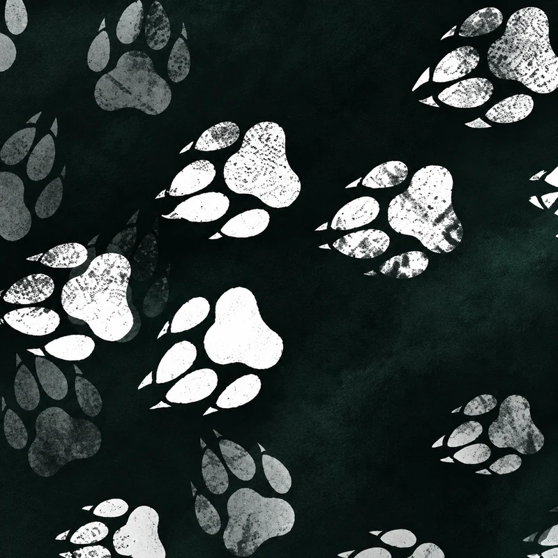 Paw Trail camo in Black Ops 7