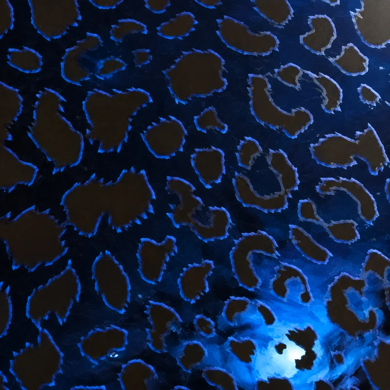 Rosette camo in Black Ops 7