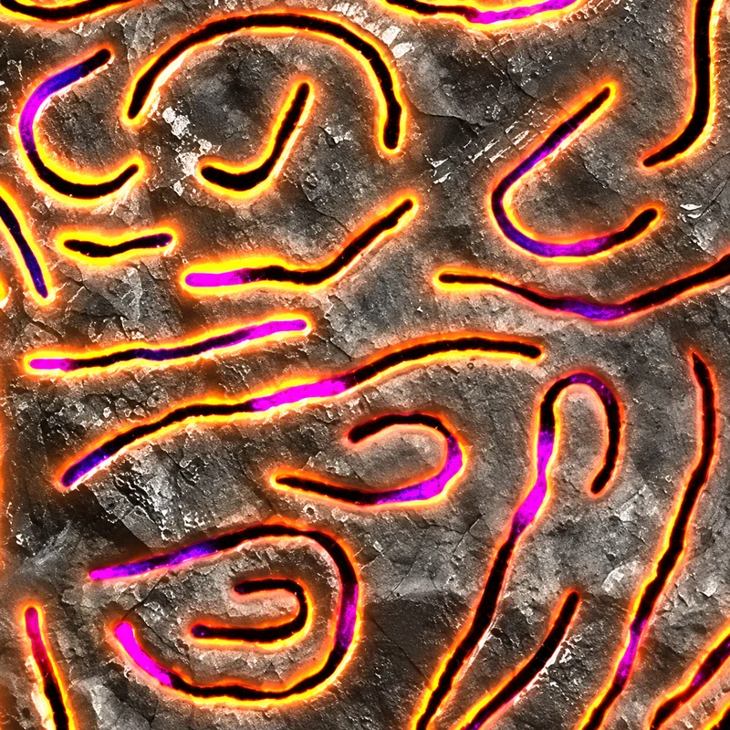Runic camo in Black Ops 7