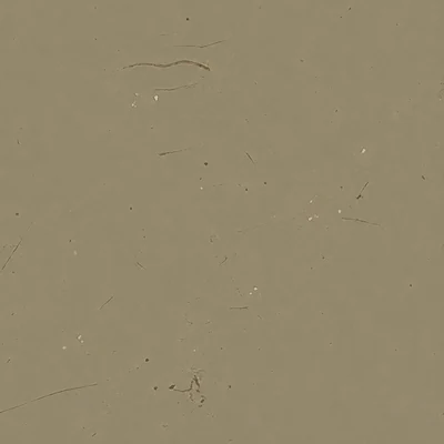 Sand camo