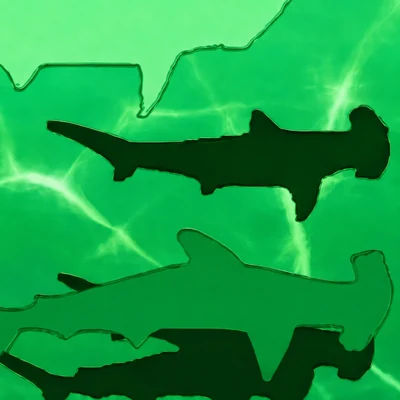 Soul Eater camo