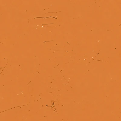 Tangerine camo