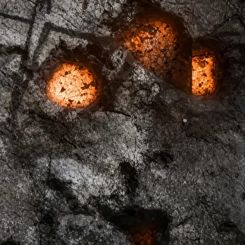 Wartorn camo in Black Ops 7