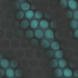 Shimmer