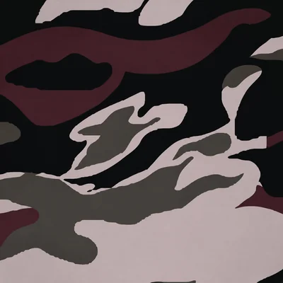 Ash camo — Call of Duty: Black Ops Cold War