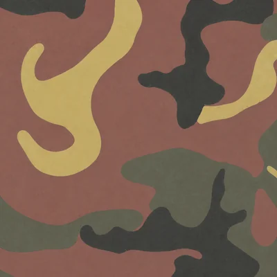 Checkpoint camo — Call of Duty: Black Ops Cold War