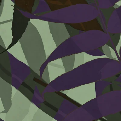 Old Growth camo — Call of Duty: Black Ops Cold War