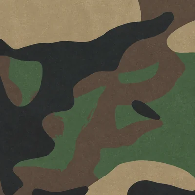 Platoon camo — Call of Duty: Black Ops Cold War