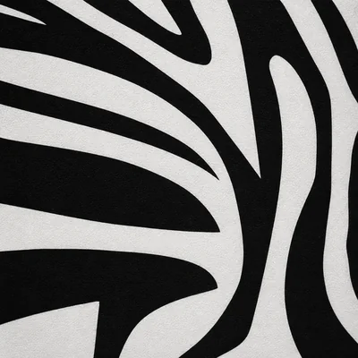 Zebra camo — Call of Duty: Black Ops Cold War