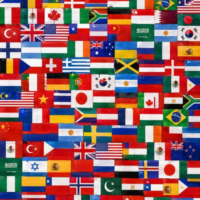 Flags of the World camo — Call of Duty: Ghosts