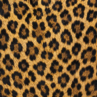 Leopard camo — Call of Duty: Ghosts
