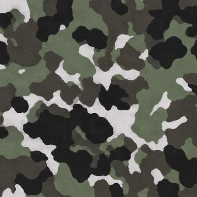 Woodland camo — Call of Duty: Ghosts