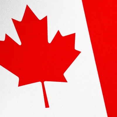 Canada camo — Call of Duty: Infinite Warfare