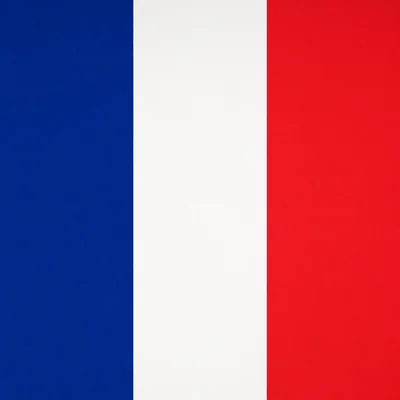 France camo — Call of Duty: Infinite Warfare