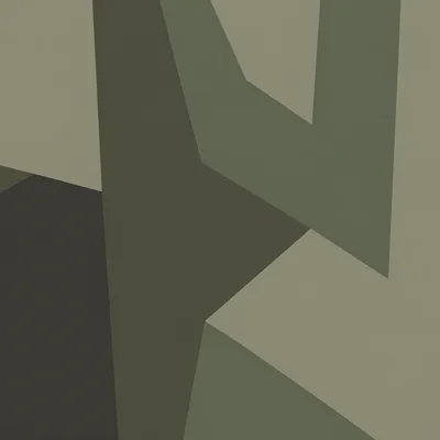 Angles camo — Call of Duty: Modern Warfare (2019)