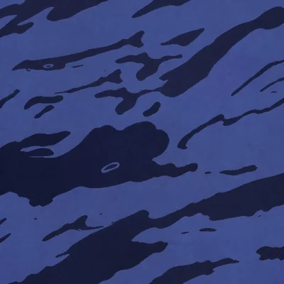 Blue Tiger camo — Call of Duty: Modern Warfare (2019)