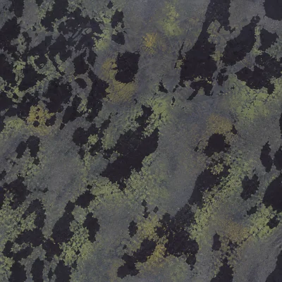 Chupacabra camo — Call of Duty: Modern Warfare (2019)